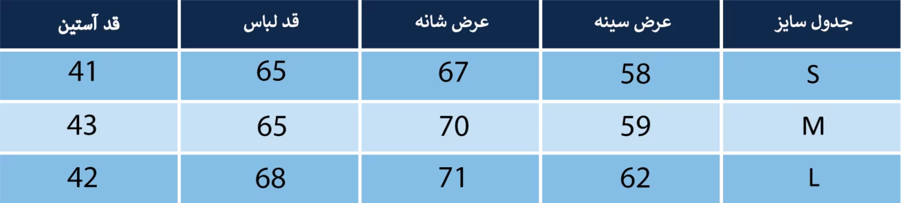 تیشرت آستین بلند زنانه بلونیل کد b15222506n