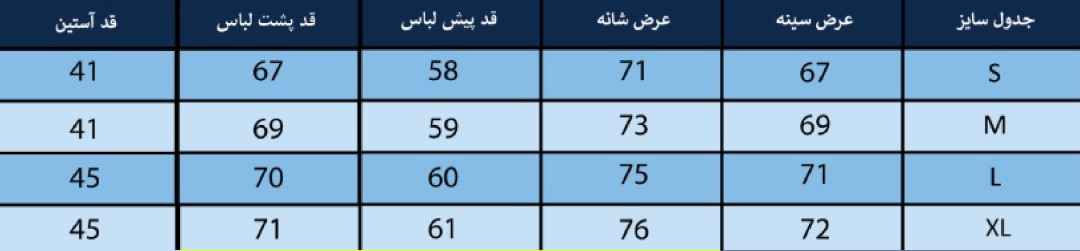 شومیز زنانه بلونیل کد B378409N