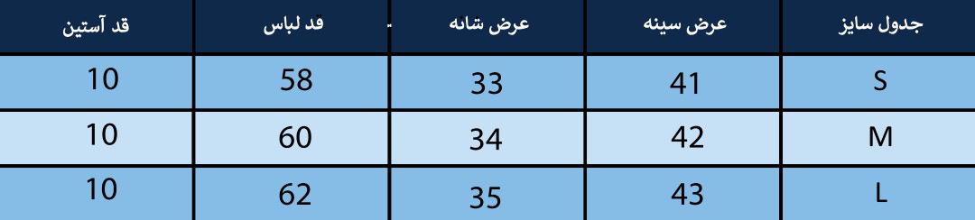 تیشرت زنانه بلونیل کد B61216848N