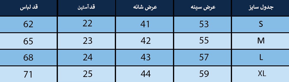 تیشرت زنانه بلونیل کد B247189N