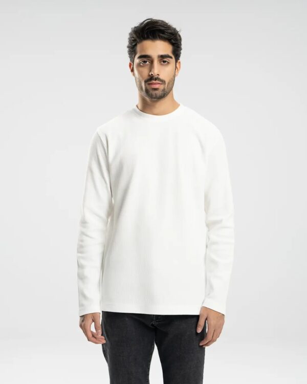 تیشرت آستین بلند مردانه بلونیل کد B247111N