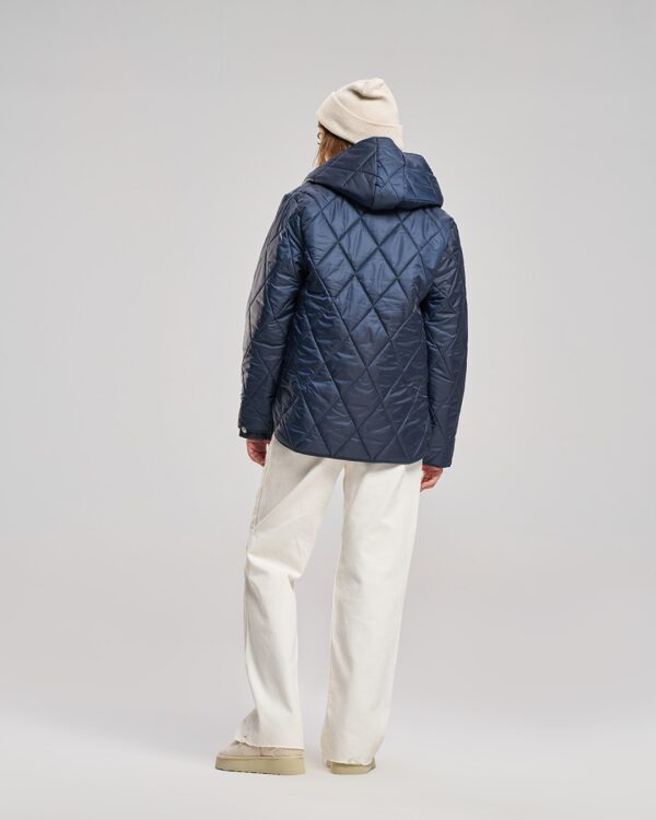 کاپشن زنانه بلونیل کد B2512623N