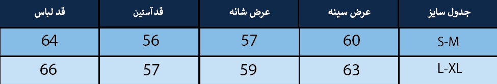 تیشرت آستین بلند زنانه بلونیل کد B247127N