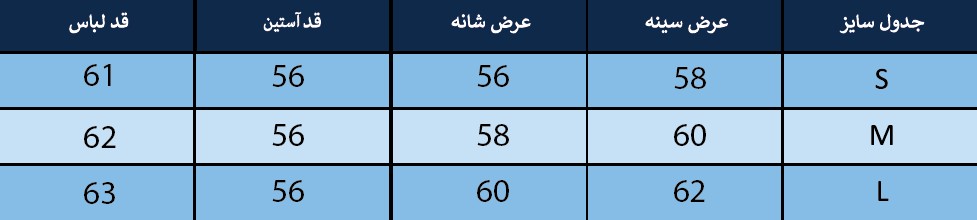 تیشرت آستین بلند زنانه بلونیل کد B61211079N